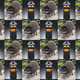 Image for article titled I Don't Understand This Story, But It Happens In a Place Called Raccoon Township
